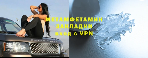 прущие грибы Армянск