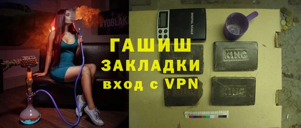 хмурый Алексин