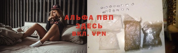 хмурый Алексин