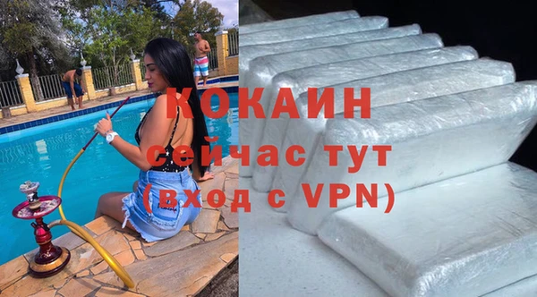 сатива Аркадак