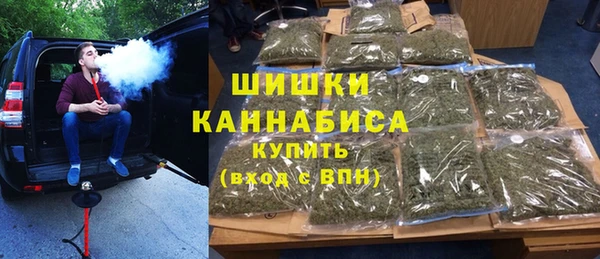 сатива Аркадак