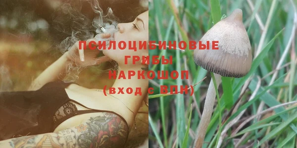 а пвп мука Алексеевка