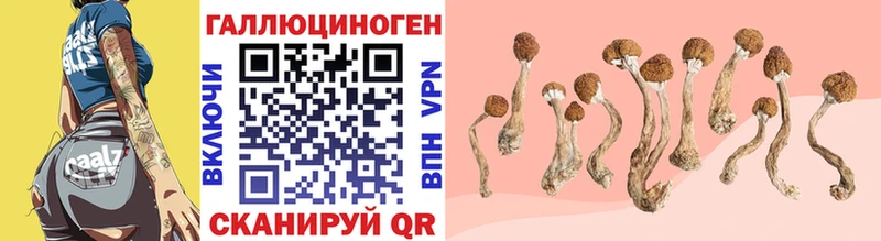 Псилоцибиновые грибы GOLDEN TEACHER  Колпашево 